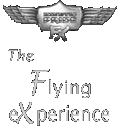 The Flying eXperience